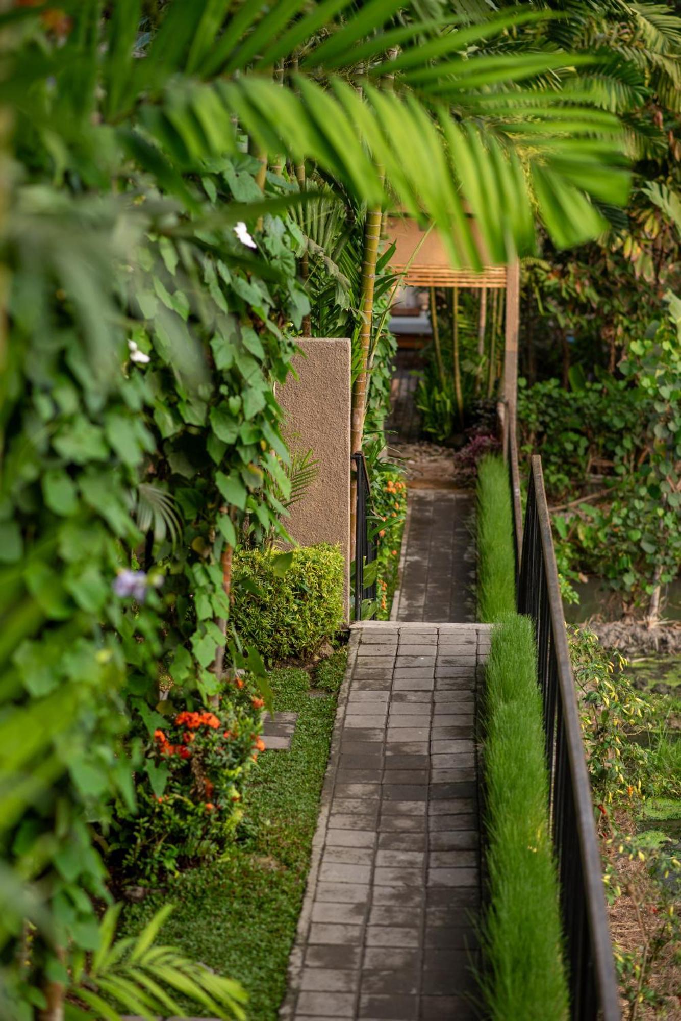 Pangkung Sari Bed And Breakfast Canggu  Exterior photo