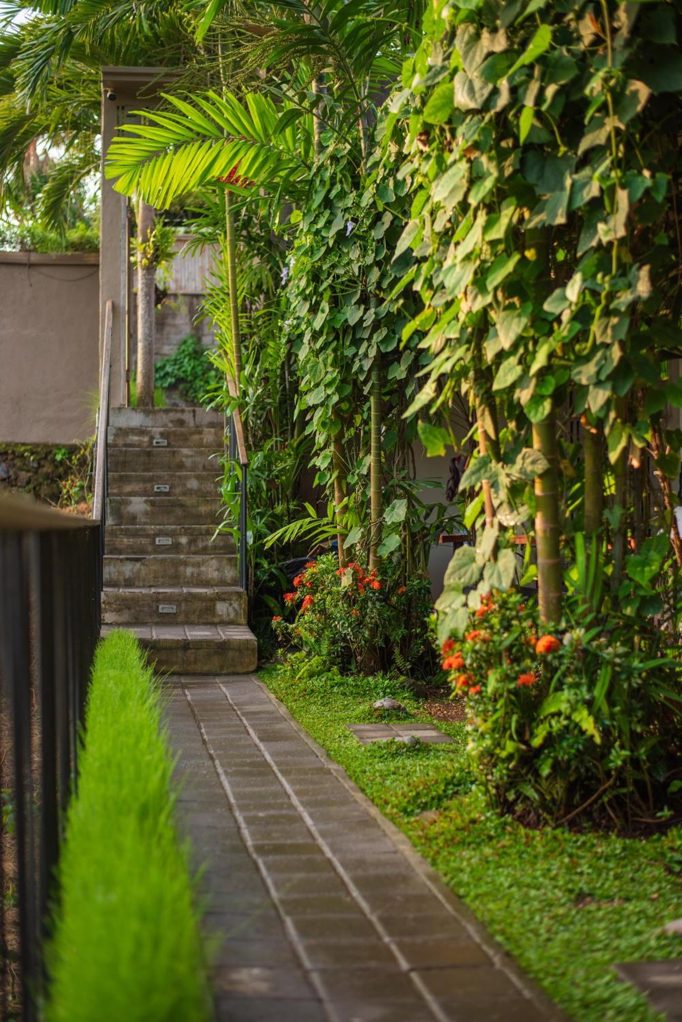 Pangkung Sari Bed And Breakfast Canggu  Exterior photo
