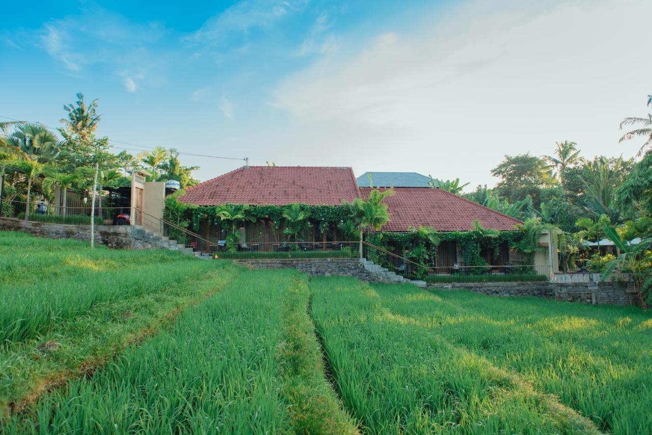 Pangkung Sari Bed And Breakfast Canggu  Exterior photo