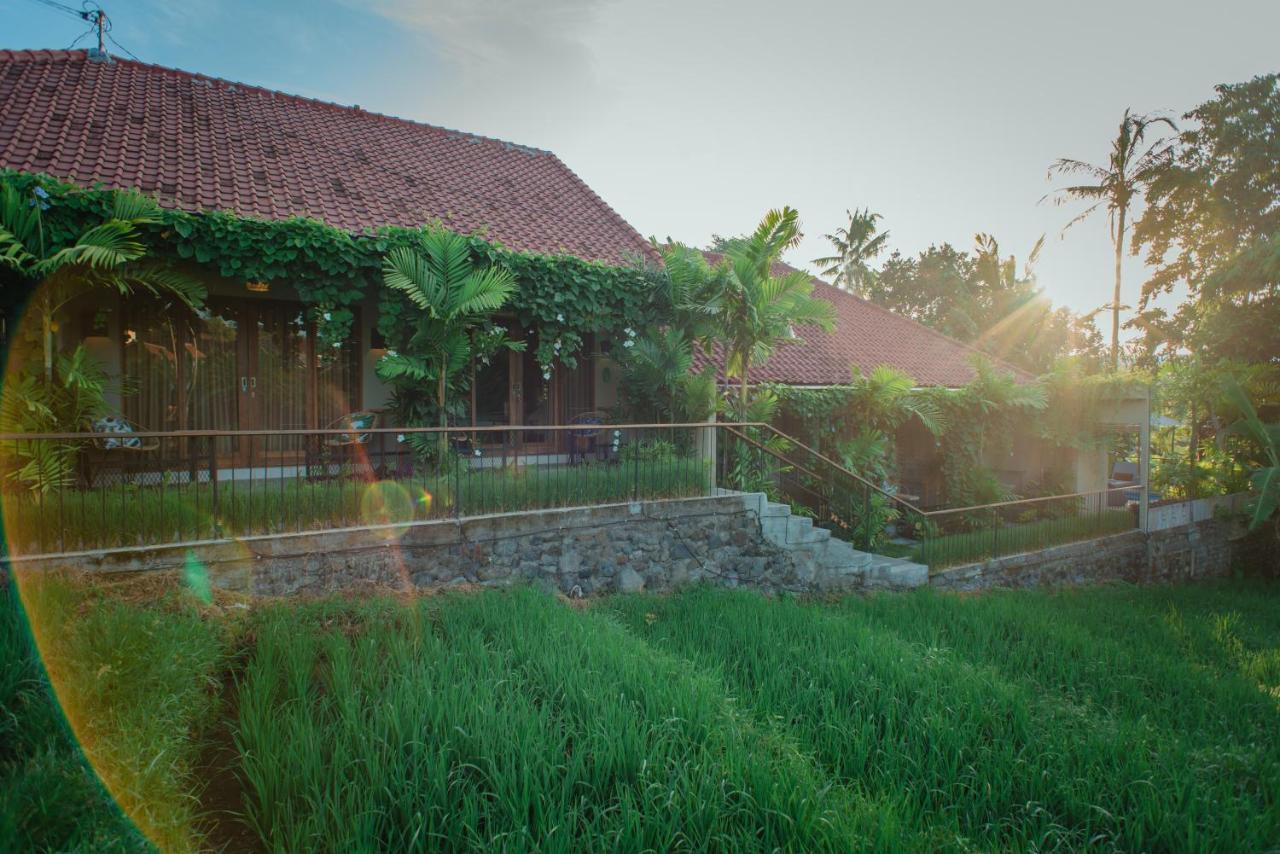 Pangkung Sari Bed And Breakfast Canggu  Exterior photo