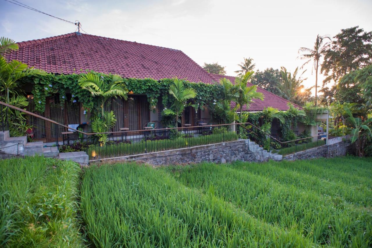 Pangkung Sari Bed And Breakfast Canggu  Exterior photo