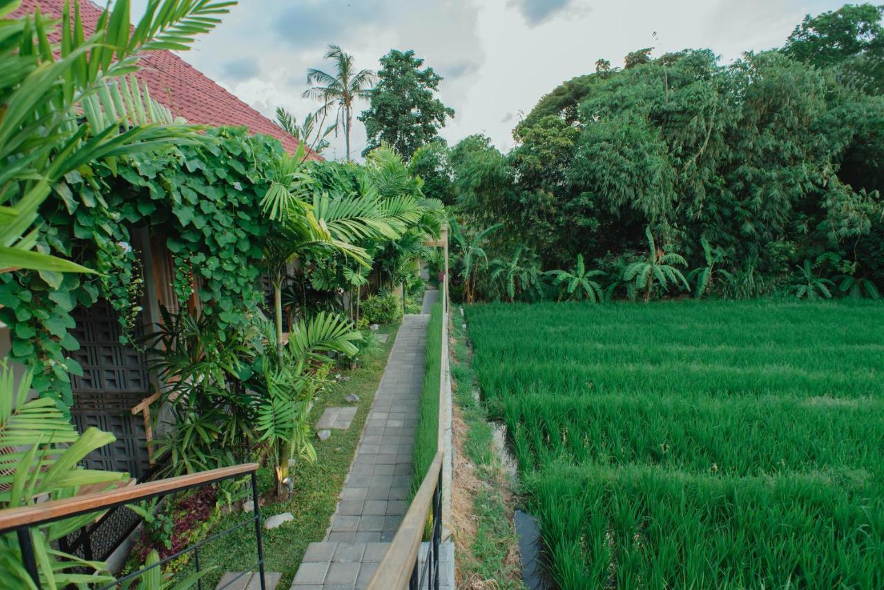 Pangkung Sari Bed And Breakfast Canggu  Exterior photo